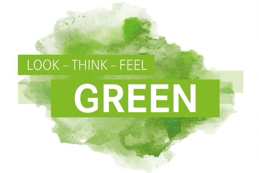 Green STAR's: Von einer Vision bis heute