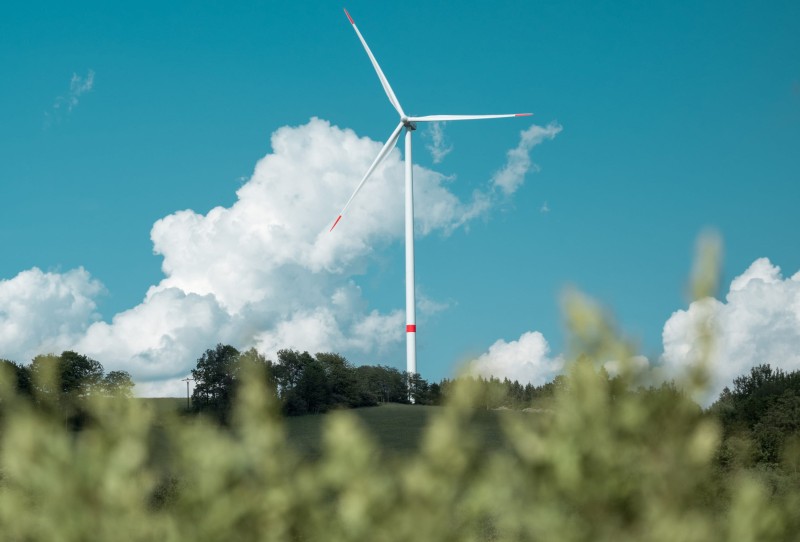 Nachhaltigkeitsberatung für Unternehmen