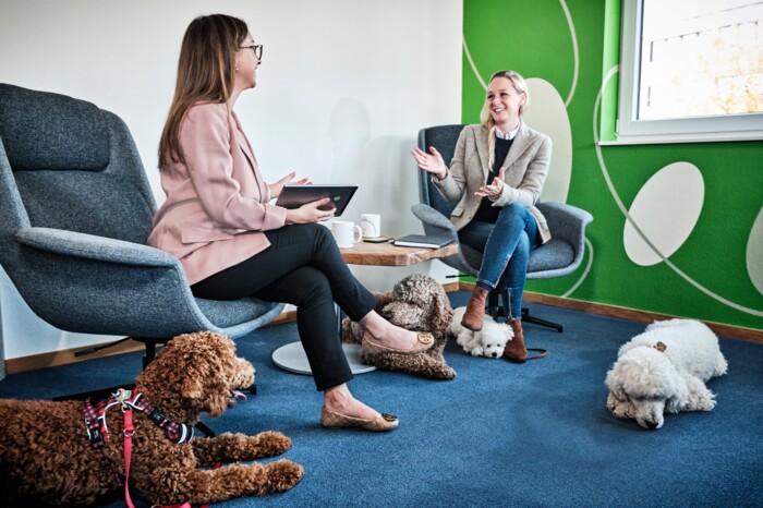 Hunde am Arbeitsplatz